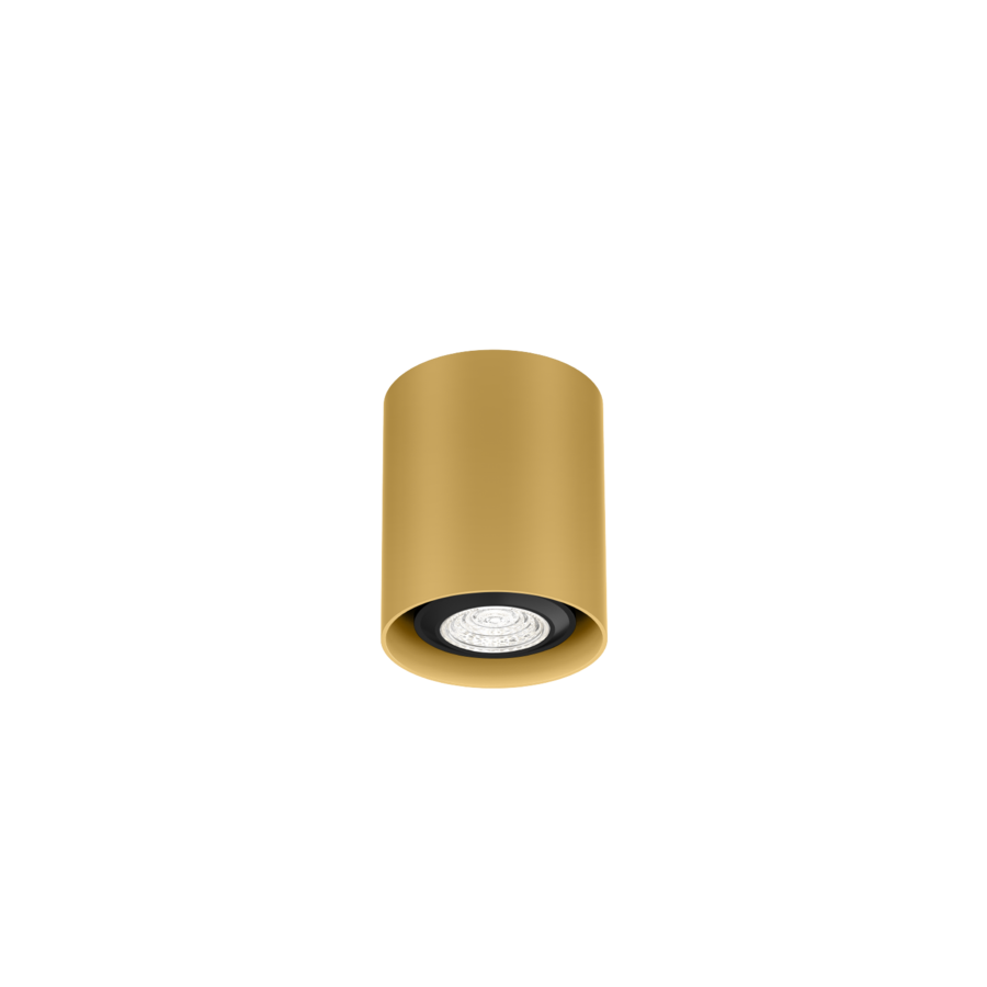 Ray Mini 1.0 PAR16 (EOFY)