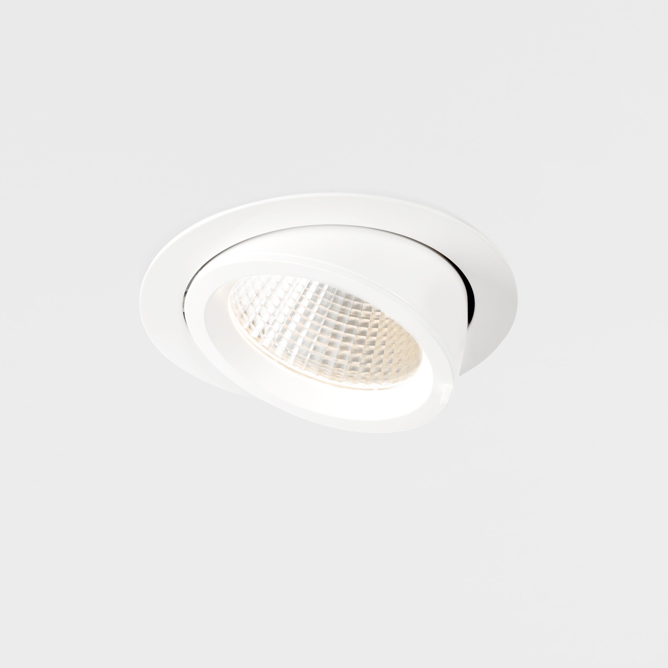 Scream Adjustable Downlight