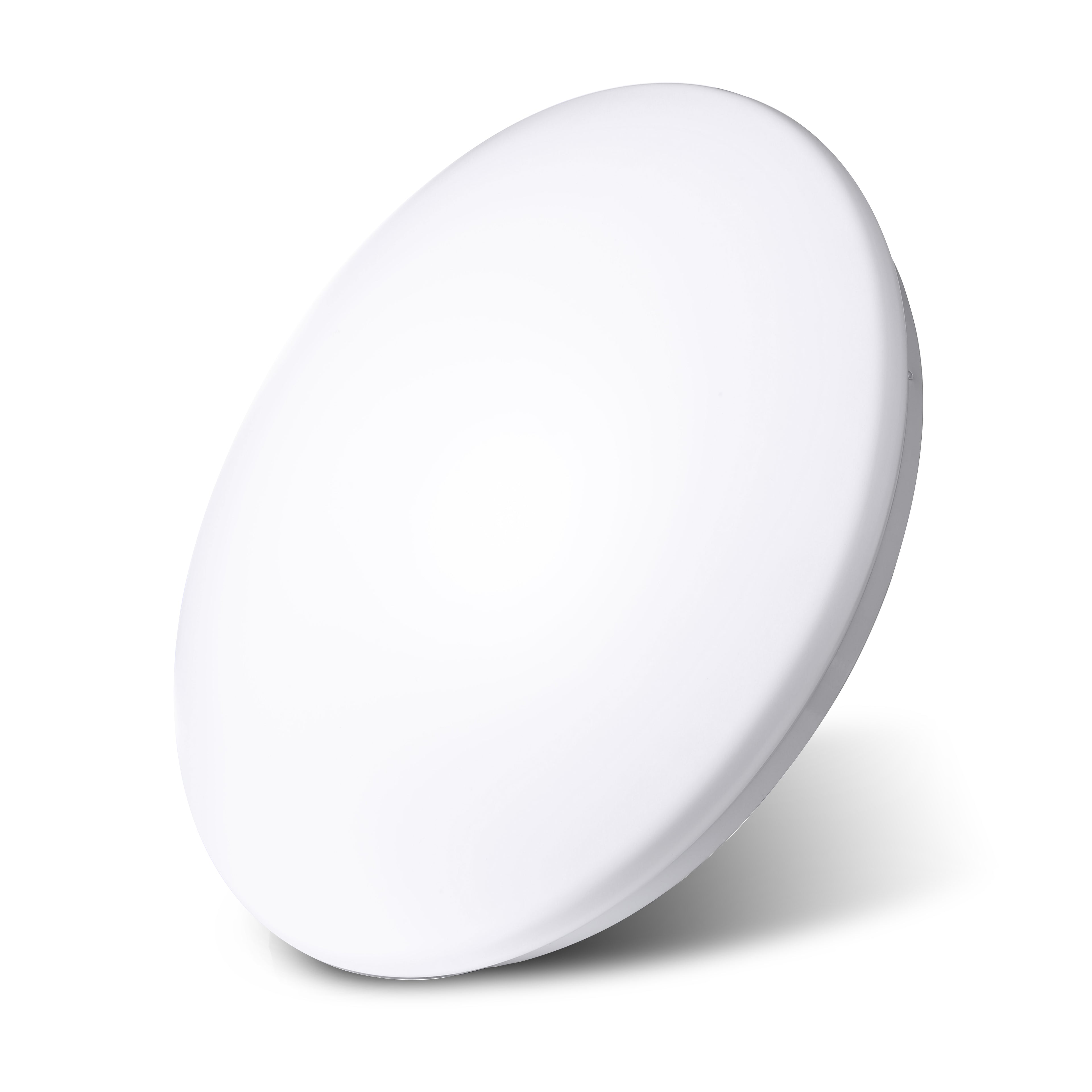 Astra Oyster Light