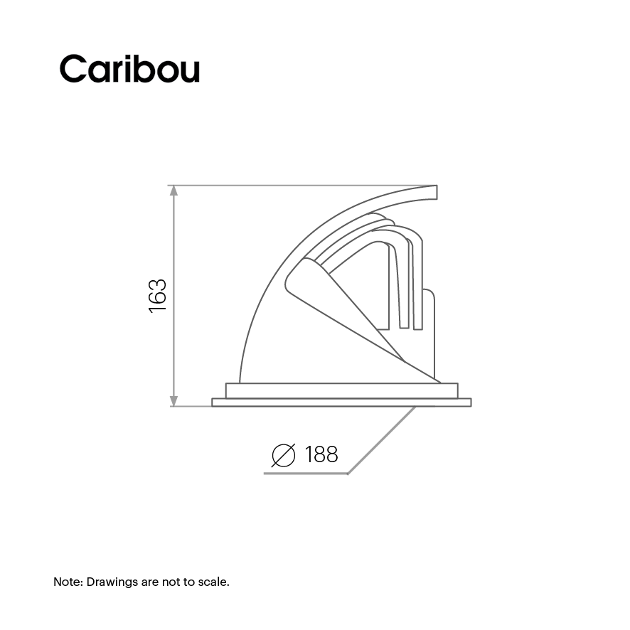 Scream Adjustable Downlight