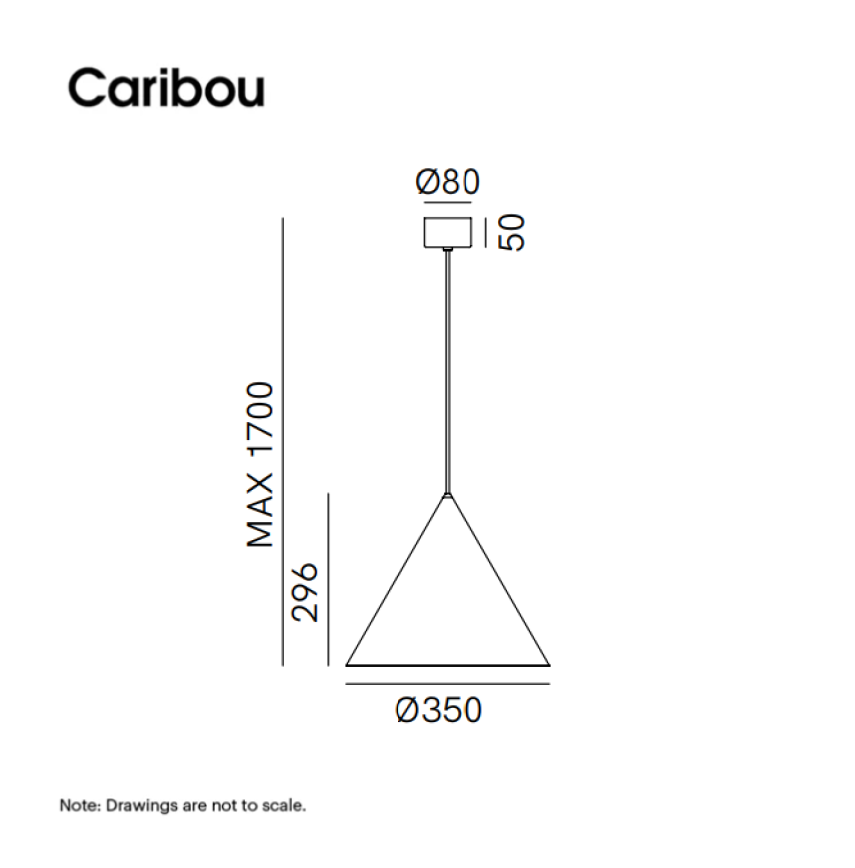 Cone 286.03