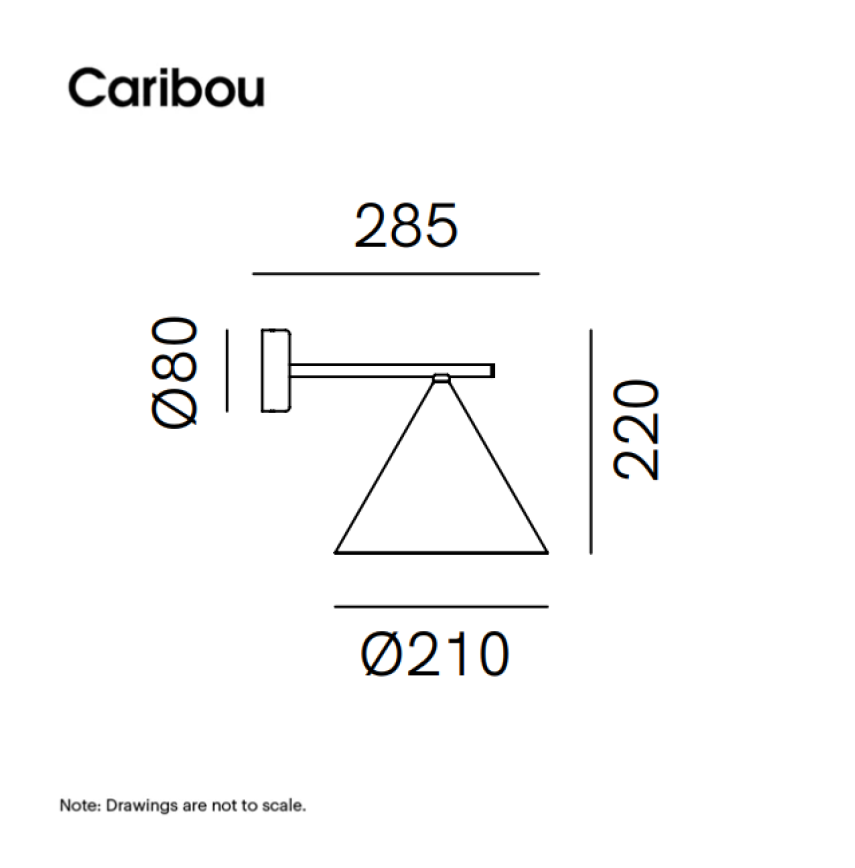 Cone 286.08