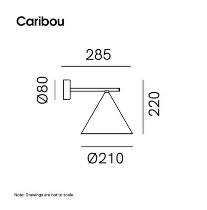 Cone 286.08