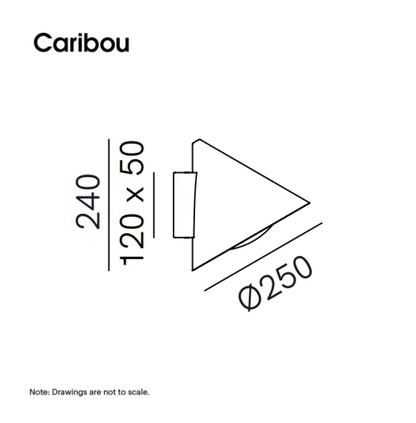 Cone 286.16