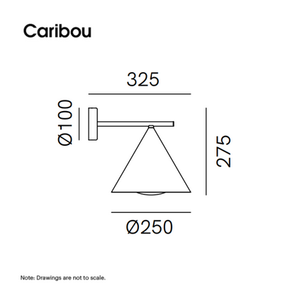Cone 286.18