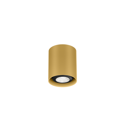 Ray Mini 1.0 PAR16 (EOFY)
