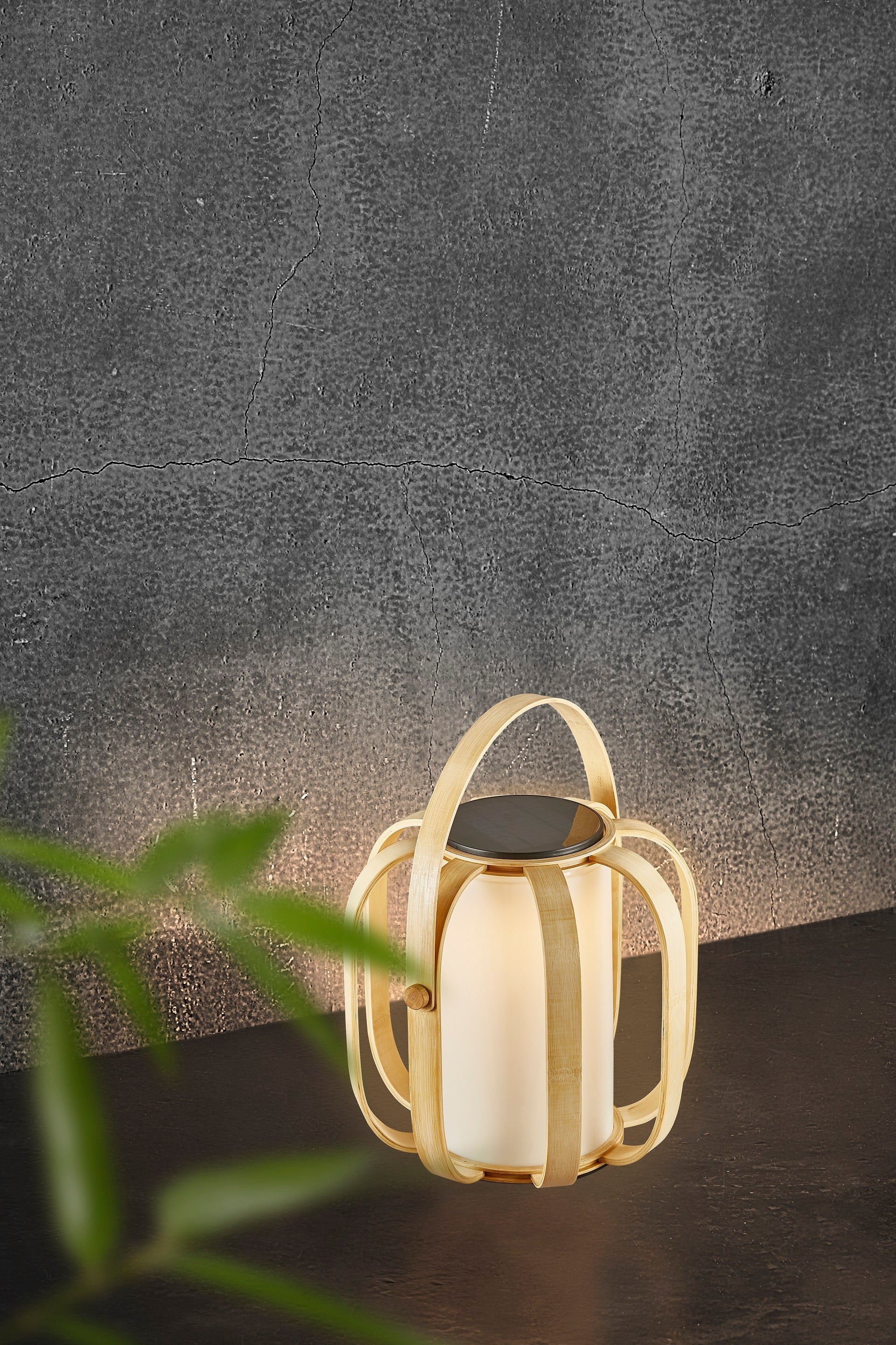 Bob To Go Rechargeable Table Lamp | Curved Bamboo